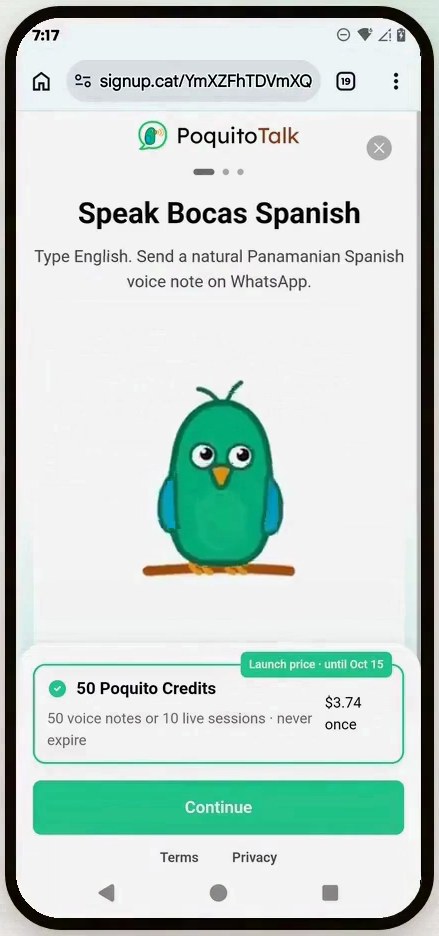Funnel slide: Speak Bocas Spanish